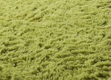 Housing Rentals Ohio University Pic