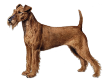 Ohio University Studio Apartment Pic