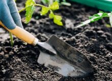 University College Housing Pic