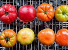 Campus Apartment Athens Pic